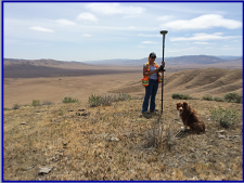 Panoche Survey